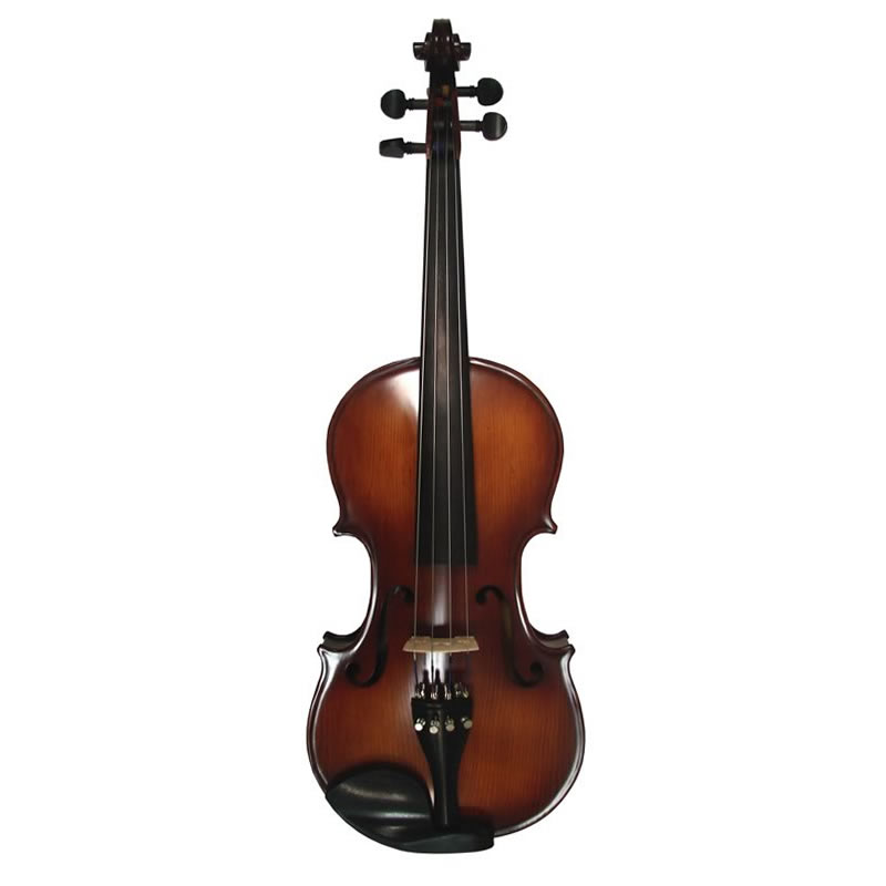 Hamburg 500 Viola