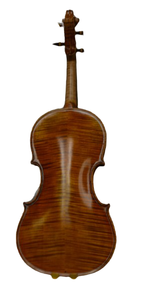 Vienna Strings Munich Ltd Edition 4/4 Violin Outfit