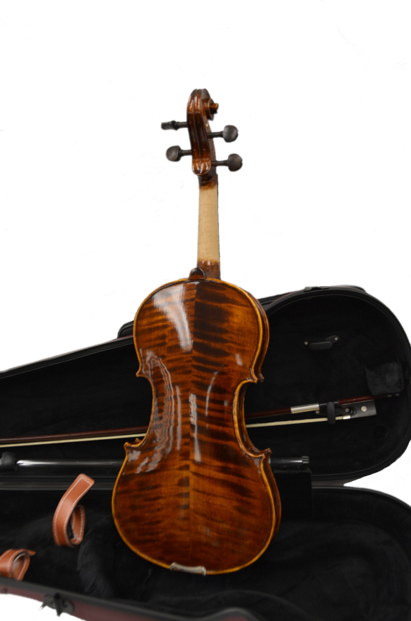 Vienna Strings Violin 4/4 European tradition Hamburg