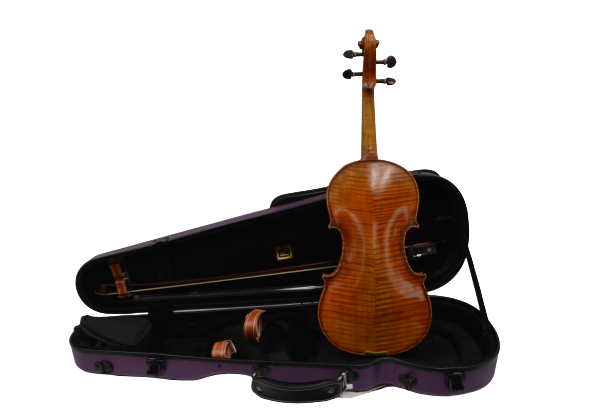 Vienna Strings Violin 4/4 European tradition Berlin Special