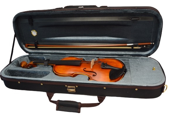Vienna Strings European tradition Model 200