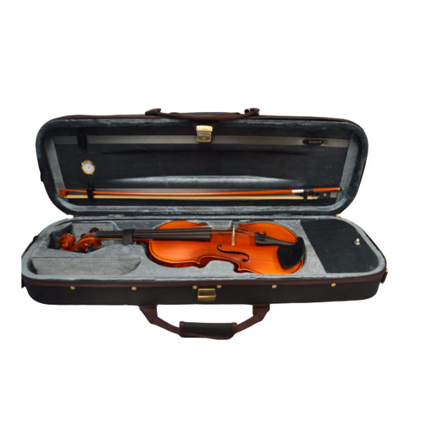 Vienna Strings Violin 4/4 European tradition Model 300