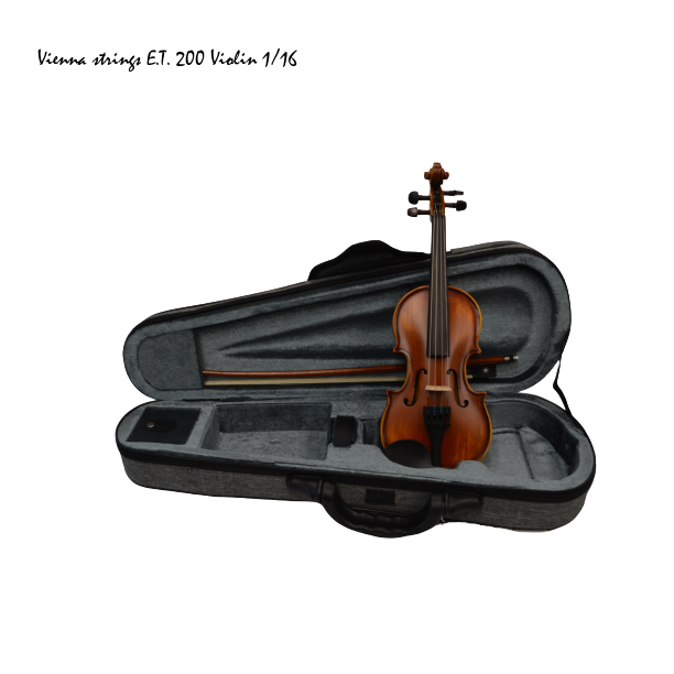 Vienna Strings European tradition Model 200