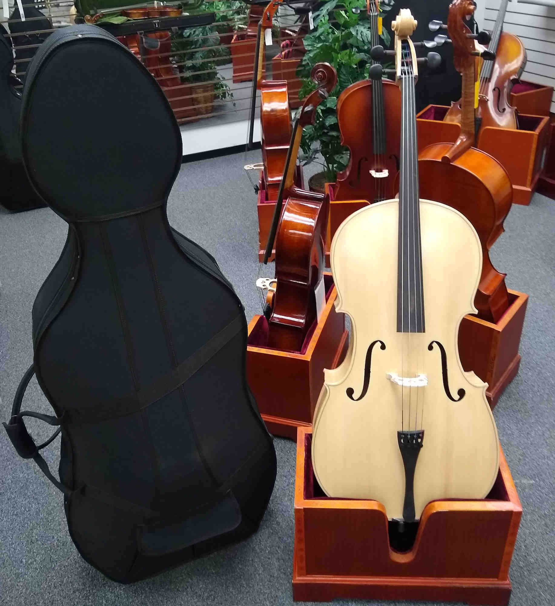 Hamburg Cello Blonde