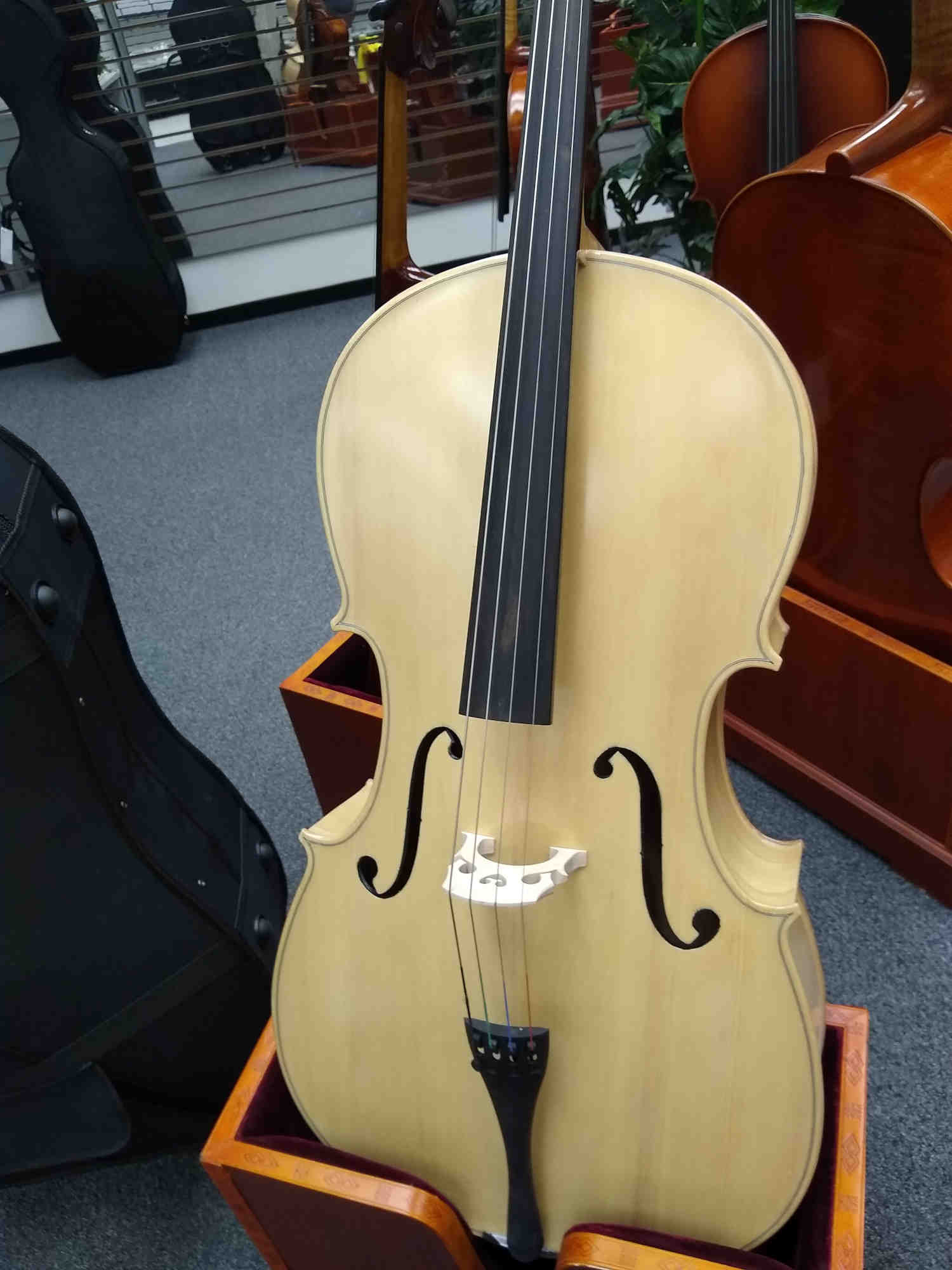 Hamburg Cello Blonde