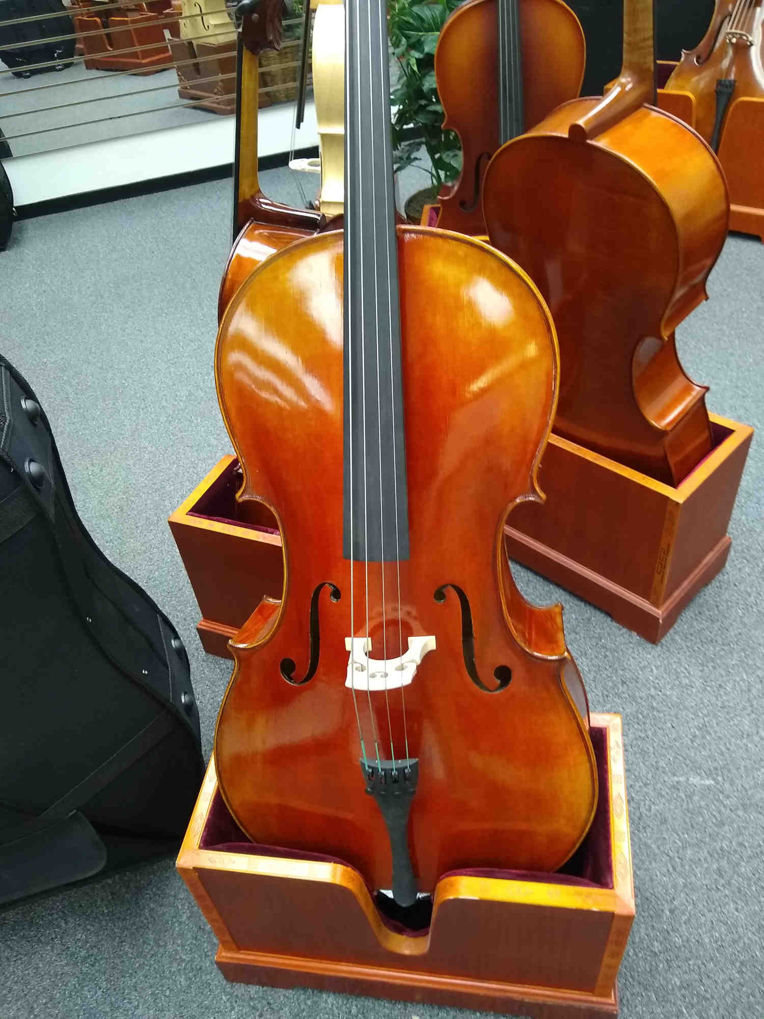 Vienna Strings Old Berlin Cello(New Model)